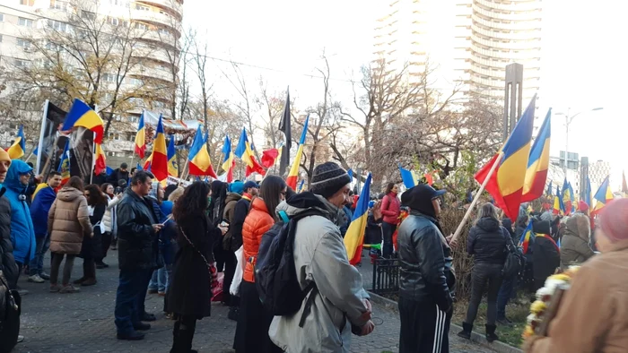 protest antivaccinare universitate