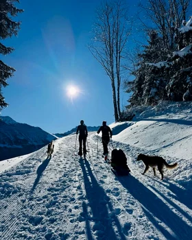 James Middleton și Inigo, Instagram