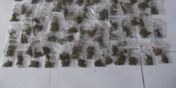 Droguri la pliculeţ - substanţe halucinogene Sursa foto Jandarmeria Constanţa