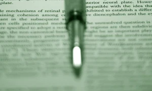 Consideraţii asupra doctoratului profesional  jpeg