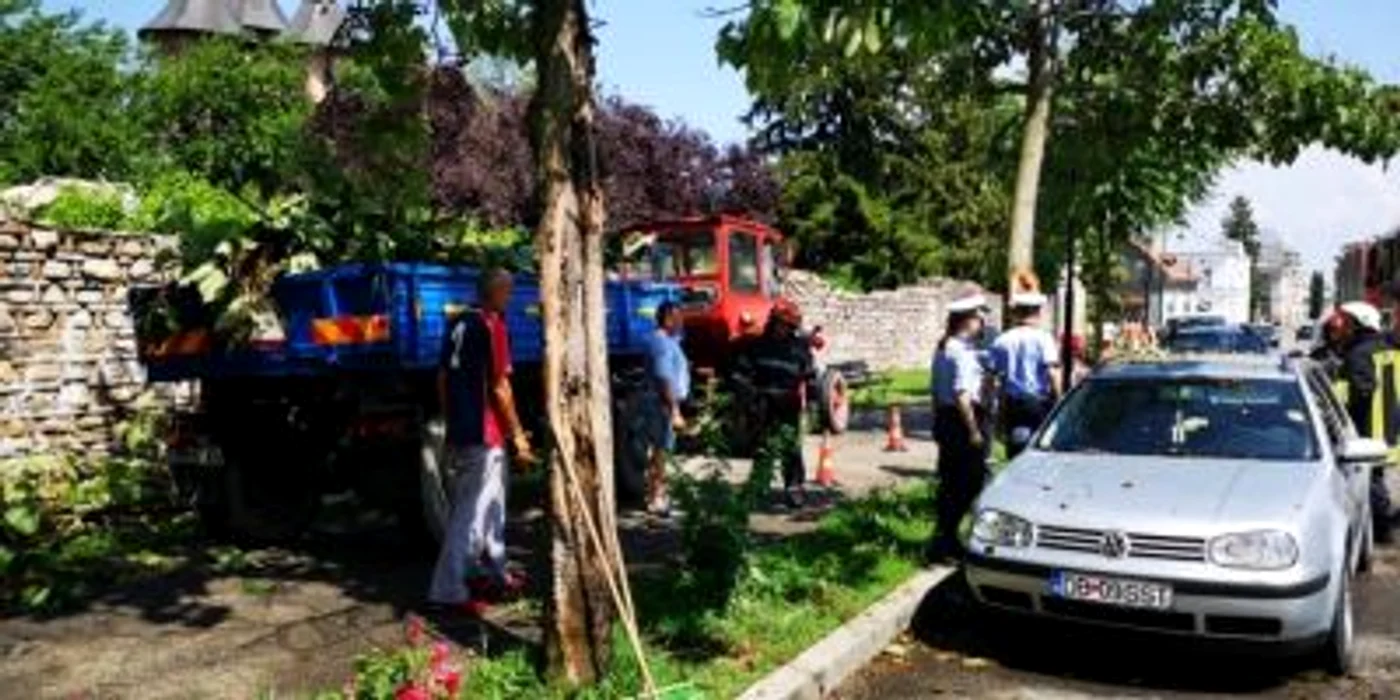 copaci cazuti tgv vant puternic