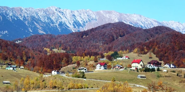 Satul Ciocanu