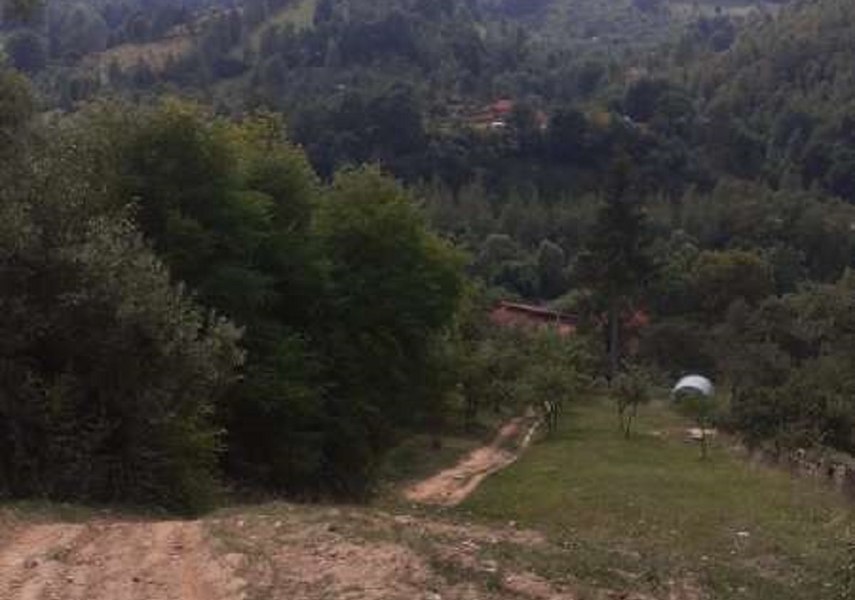 Bărbat cu multiple traumatisme, după ce a căzut cu maşina într-o râpă foarte adâncă, pe Valea Jiului
