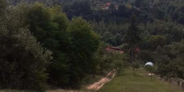 accident foto isu hunedoara jpg