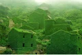 sat verde jpg