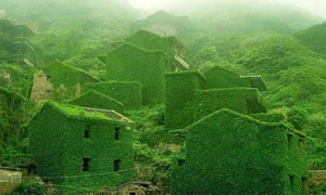sat verde jpg