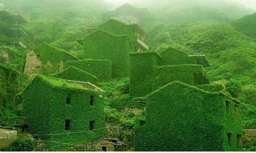 sat verde jpg