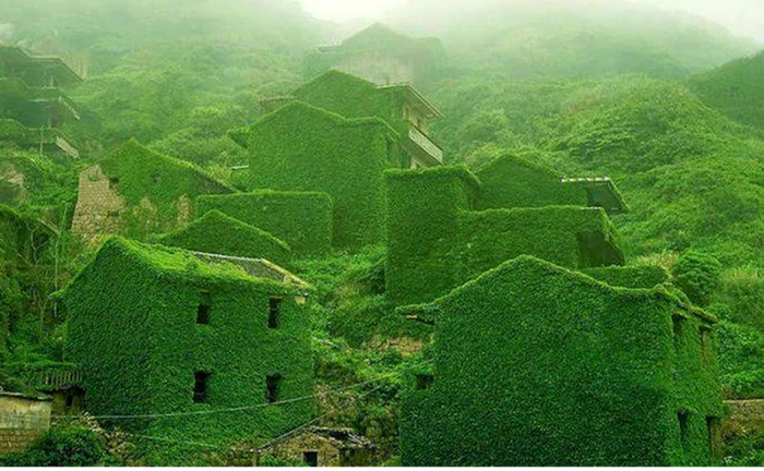 Satul Houtouwan din China este complet acoperit de vegetație. Foto: Facebook