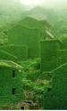 sat verde jpg