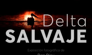 Expozitia Delta Sălbatică la ICR Madrid jpeg
