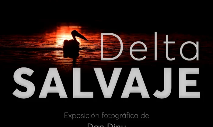 Expozitia Delta Sălbatică la ICR Madrid jpeg