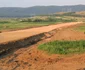 FOTO Autostrada Deva - Lugoj. Un cimitir ilegal încurcă planurile constructorilor. FOTO