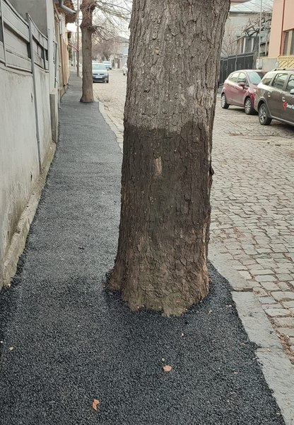Copaci asfaltați pe trotuarul unei străzi cu piatră cubică și gropi. Dorel de Galați recidivează