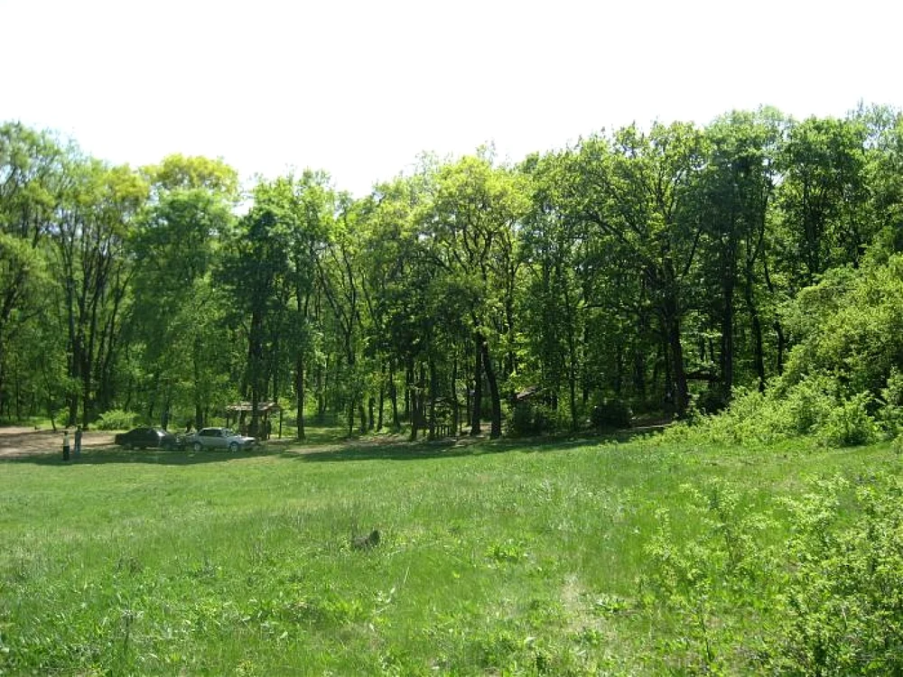 padurile moldovei foto wikipedia
