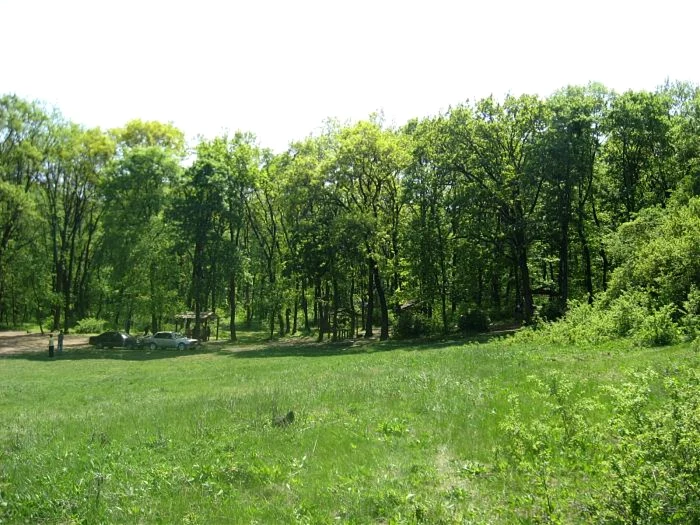padurile moldovei foto wikipedia