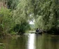 balta3