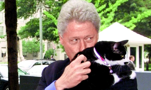 1 48255 original jpg jpeg