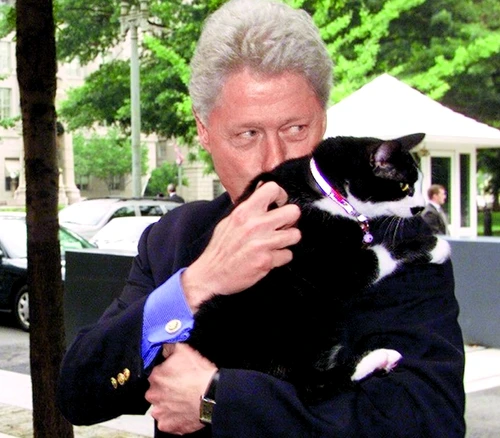 1 48255 original jpg jpeg