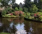 Giethoorn - satul olandez cu canale supranumit Veneţia Nordului Foto Sînziana Ionescu