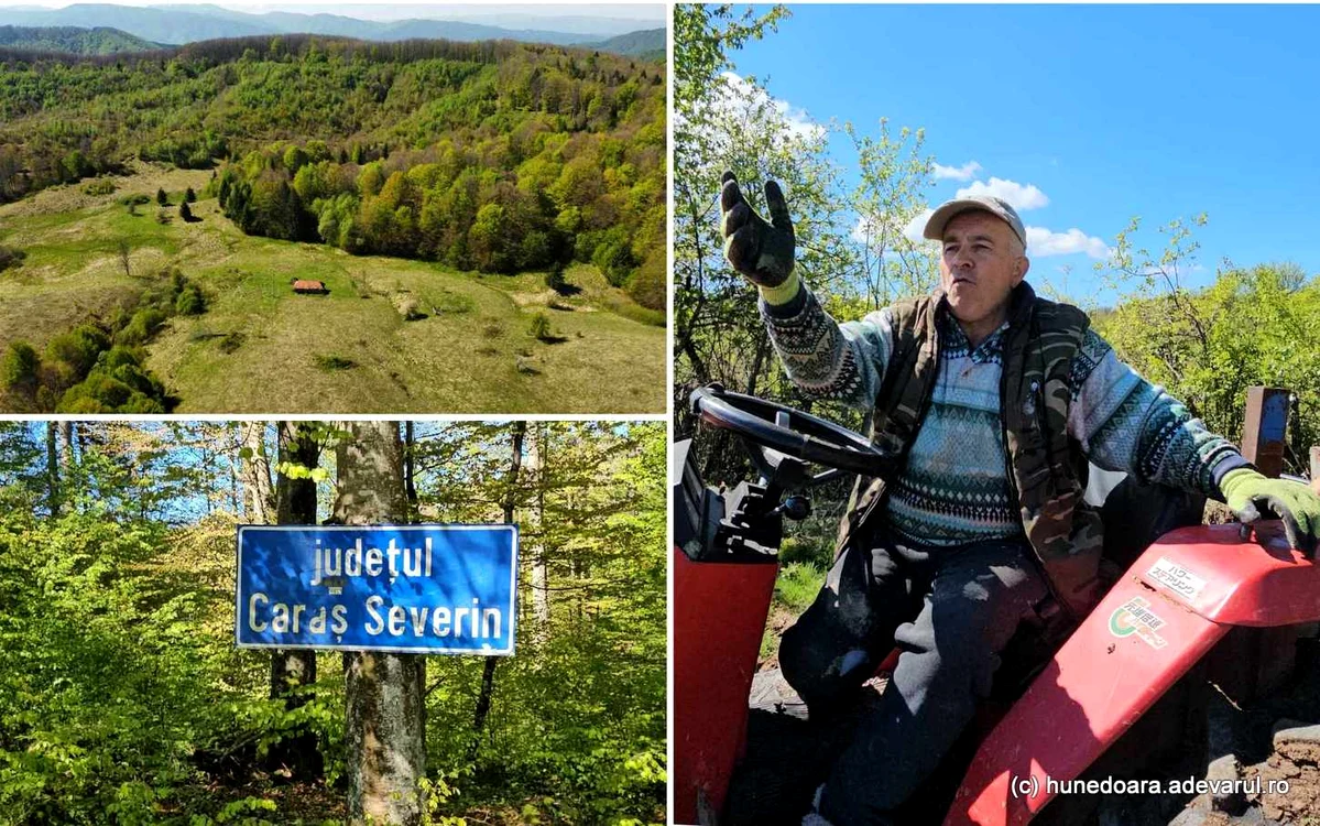 Minuc, unul dintre puținii rămași în cătunele din Munții Poiana Ruscă. Foto: Daniel Guță. ADEVĂRUL