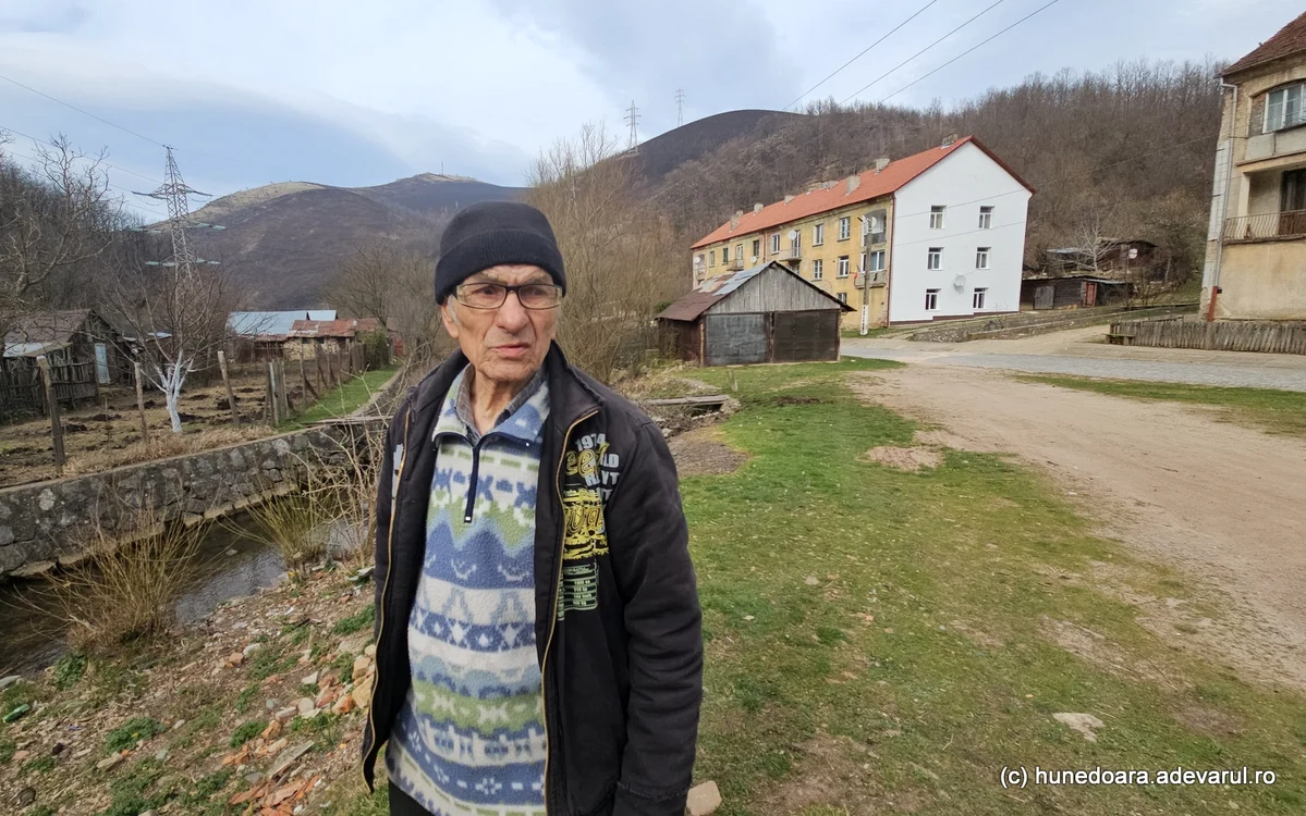 Cristea Haralambie. Foto: Daniel Guță. ADEVĂRUL