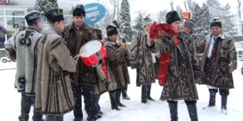Sumanele de la Trifeşti sunt unicat în România