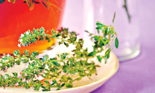 1 69902 original jpg jpeg