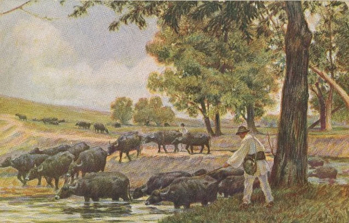 „Bivolițe la Pantelimon trecând apa”, pictură de Jean Neylies (© iMAGO Romaniae)