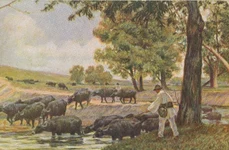 „Bivolițe la Pantelimon trecând apa”, pictură de Jean Neylies (© iMAGO Romaniae)
