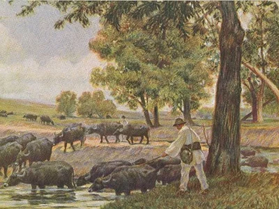 „Bivolițe la Pantelimon trecând apa”, pictură de Jean Neylies (© iMAGO Romaniae)