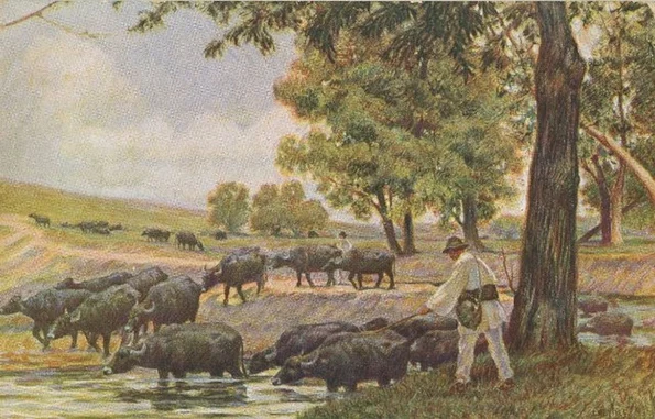 „Bivolițe la Pantelimon trecând apa”, pictură de Jean Neylies (© iMAGO Romaniae)