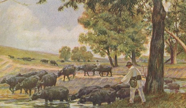 „Bivolițe la Pantelimon trecând apa”, pictură de Jean Neylies (© iMAGO Romaniae)