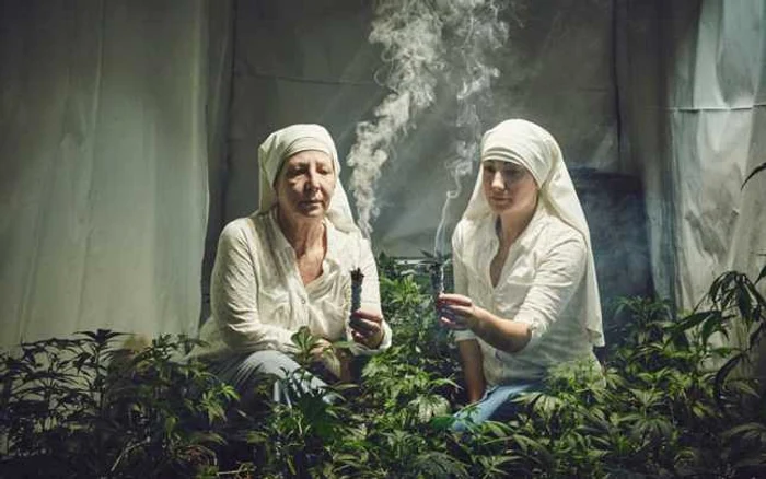 Produsele organice ale celor două măicuţe includ unguente, tincturi şi uleiuri care sunt folosite în tratarea migrenelor, a durerilor de spate şi nu numai. FOTO Daily Mail