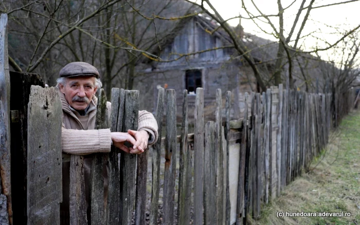 Gheorghe Nicoară. Foto: Daniel Guţă. ADEVĂRUL.