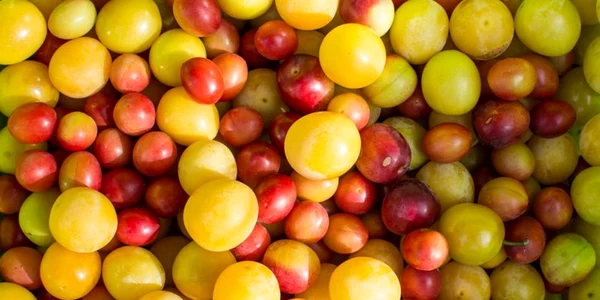 Nu le mai ocoli! Sunt pline de antioxidanţi şi au beneficii unice asupra organismului