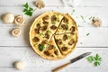1 tarta ciuperci shutterstock 1177700305 jpg jpeg