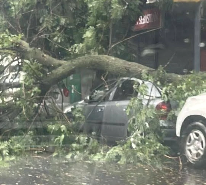 Mai multe maşini au fost avariate. FOTO: Meteoplus