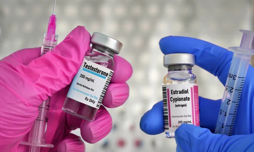 shutterstock 2381756783 jpg