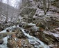 Valea Anineșului Drumul spre Fața Cetei (15) jpg