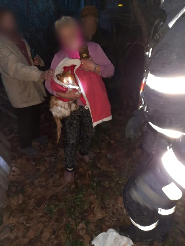 Salvarea spectaculoasă a unei pisici dintr-o fântână la Nicolae Bălcescu - Vâlcea Foto Adevărul