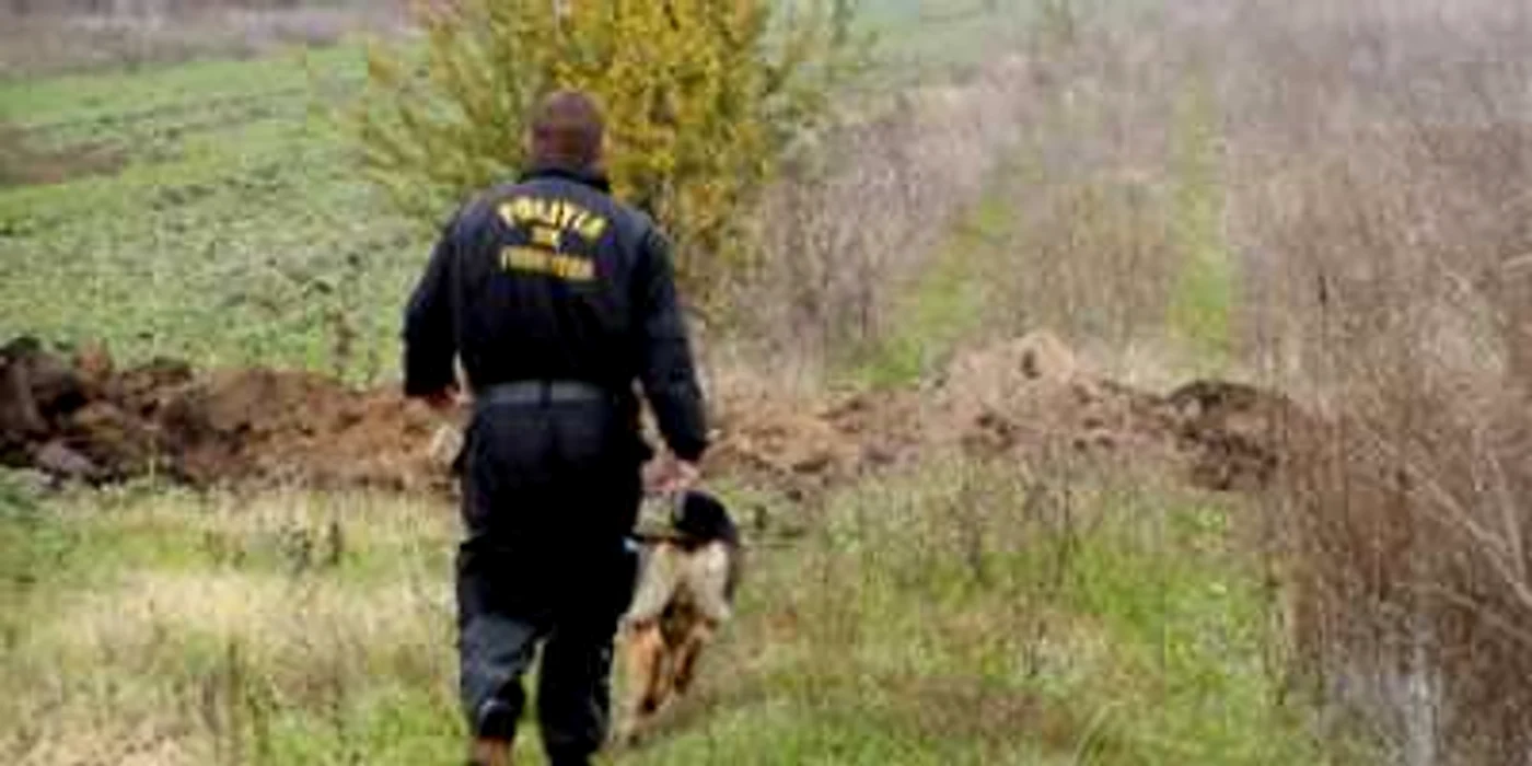 Turnu Severin: 14 poliţişti de frontieră, sancţionaţi disciplinar