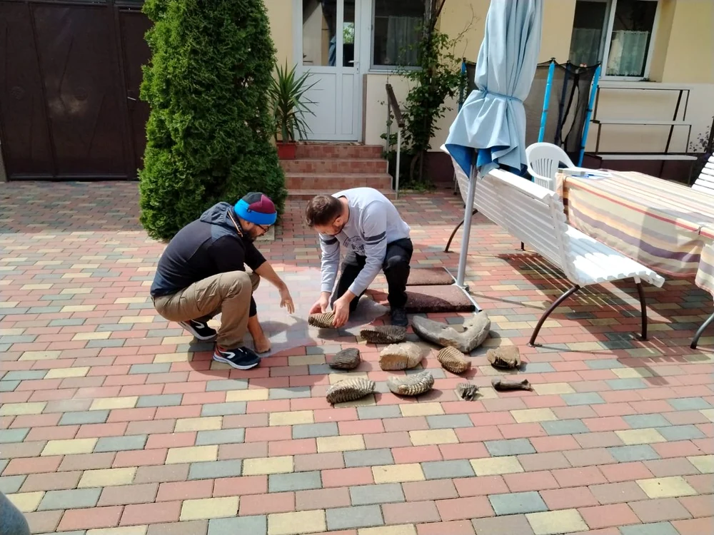 Foto: Muzeul Național al Banatului