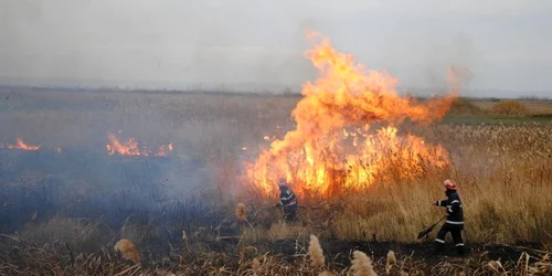 Incendii de vegetatie uscata in alte 11 localitati din judet