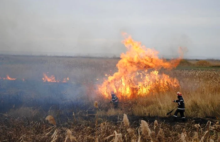 Incendii de vegetatie uscata in alte 11 localitati din judet