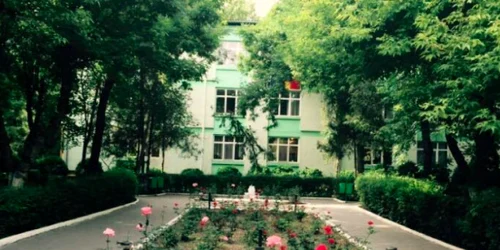 Liceul Tehnologic Dragomir Hurmuzescu din Medgidia Sursa Facebook DH