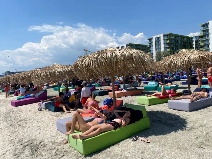 Tuștii se relaxează pe plajele însorite. Sursa foto Antonia Ispas