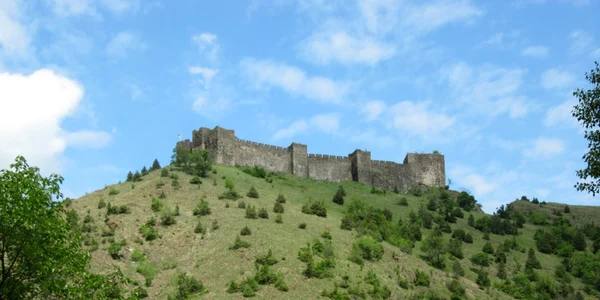 Cetatea  Maglič