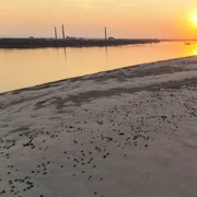 Dunărea la Zimnicea  Foto Primăria Zimnicea  Facebook (3) jpg