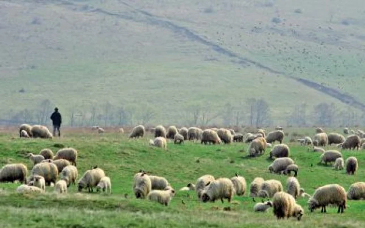 Bărbatul avea 43 de ani şi lucra ca şi cioban în Treznea