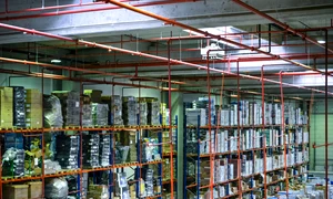 vizita depozit emag pentru playtech 18 noiembrie 2014 1228 jpeg